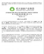 收购最顶尖轮毂如意彩电机厂技术 恒大“顶配”造车天团