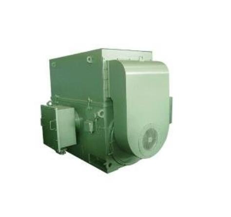 西安泰富如意彩  YJTFKK4002-8  250kw 380V 变频电机
